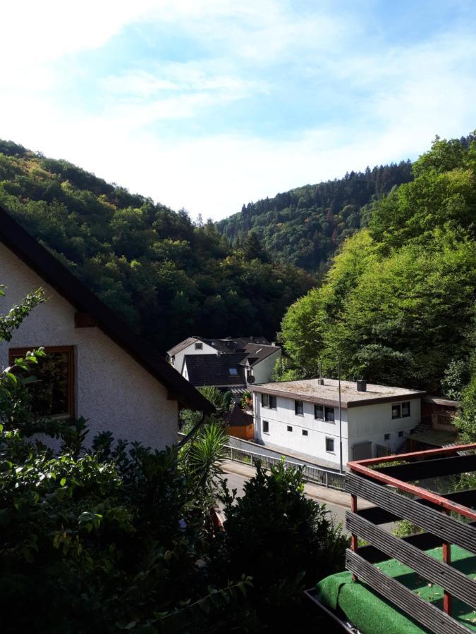 Bed and Breakfast Haus Am Dekernbach à Commune fusionnée de Cochem-Land Extérieur photo